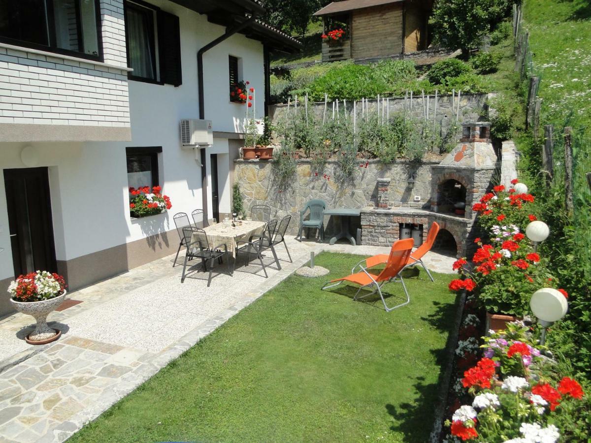 Apartma Jezero โมสต์ นา โซชิ ภายนอก รูปภาพ